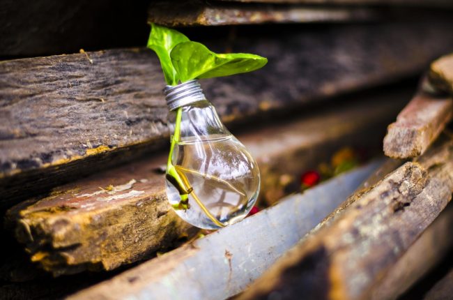 eco-sodico-news-bio-biobaby